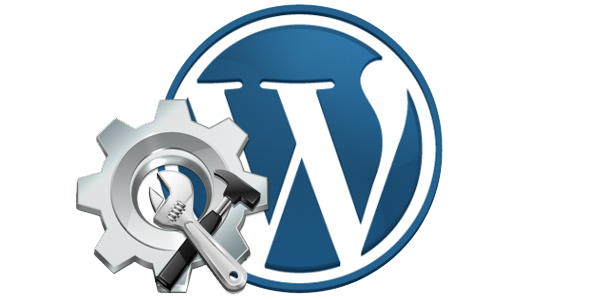 WordPress Set Up Stechie Solutions